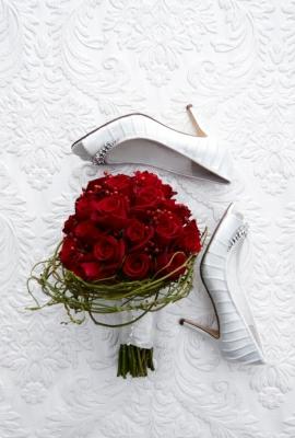 Diana Ferrari: Bridal Collection.
